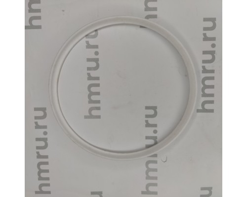 Уплотнительное кольцо PTFE на дозирующий поршень для PPF/LPF-5000