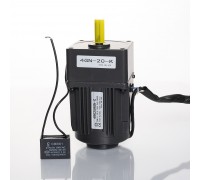 Мотор-редуктор 4RK25RGN-CF/4GN20-K (220 В) для конвейера BS-4525A